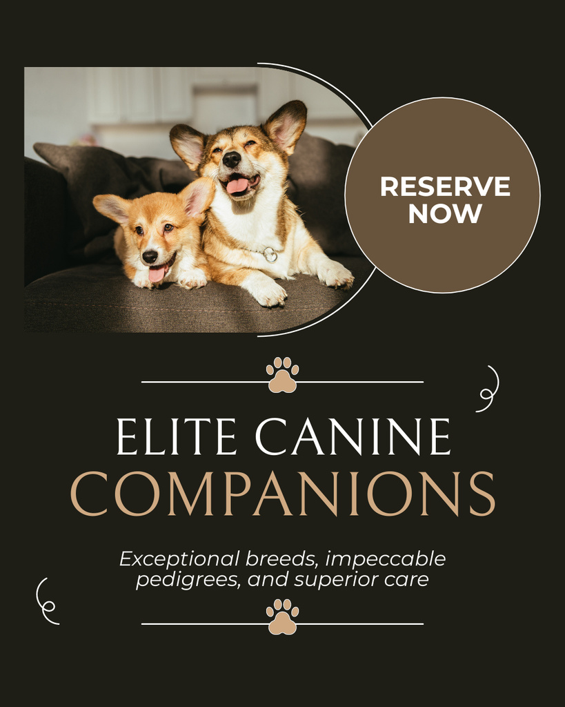 Designvorlage Offer to Reserve Elite Breed Puppies für Instagram Post Vertical