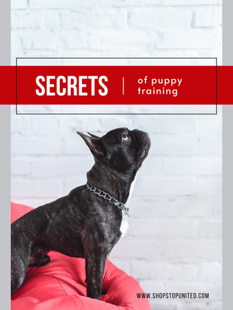 Pets Behavior Two Dogs on a Walk Poster US – шаблон для дизайна