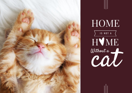 Cute Сat Sleeping at Home Postcard A5 Design Template