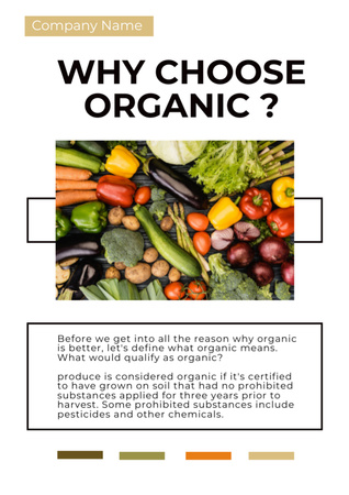 Natural Organic Food Choosing Newsletter – шаблон для дизайну