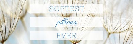 Softest Pillows Ad with Tender Dandelion Seeds Email header Modelo de Design
