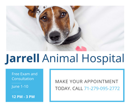 Veterinary Clinic Service Offer with Cute Dog Medium Rectangle Design Template