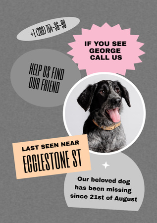 Announcement of Beloved Pet Missing Flyer A7 Design Template