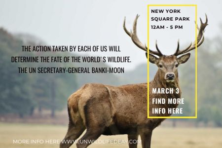 Designvorlage New York Square Park with Deer für Gift Certificate