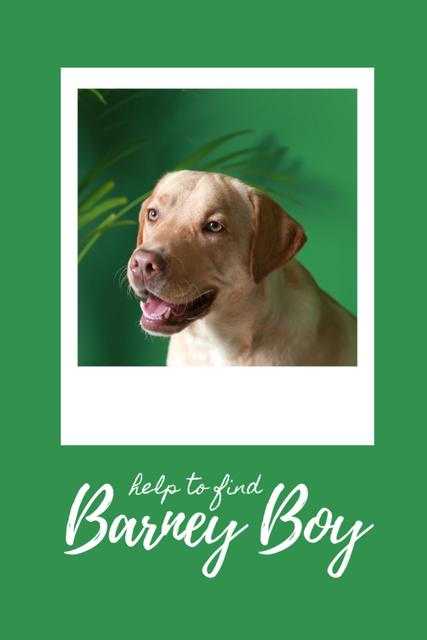 Missing Cute Labrador with White Frame Flyer 4x6in Design Template