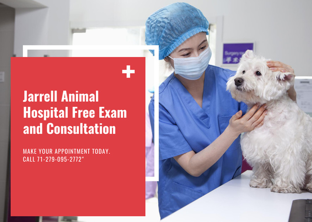 Vet Clinic Ad with Veterinarian Doctor Examining Cute Dog Flyer A6 Horizontal Tasarım Şablonu