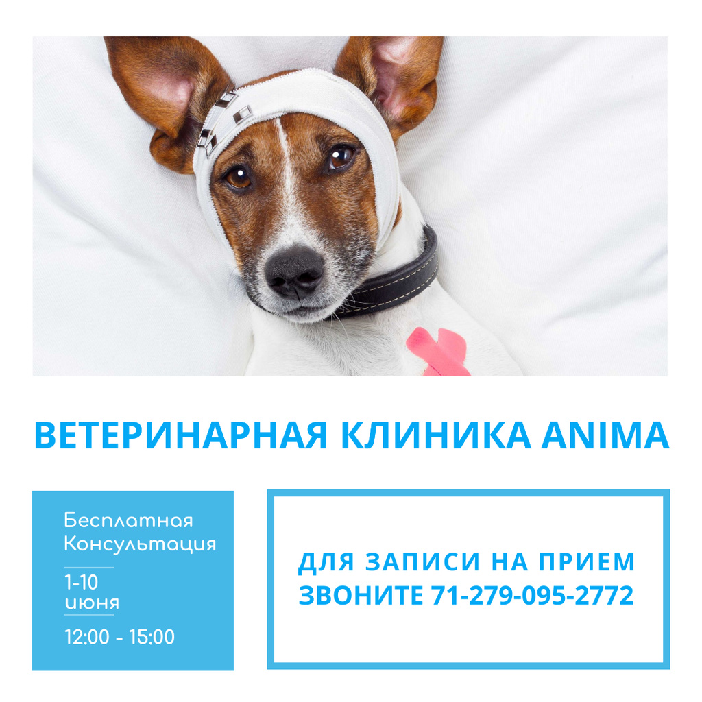 Cute Pet in Animal Hospital Instagram – шаблон для дизайну