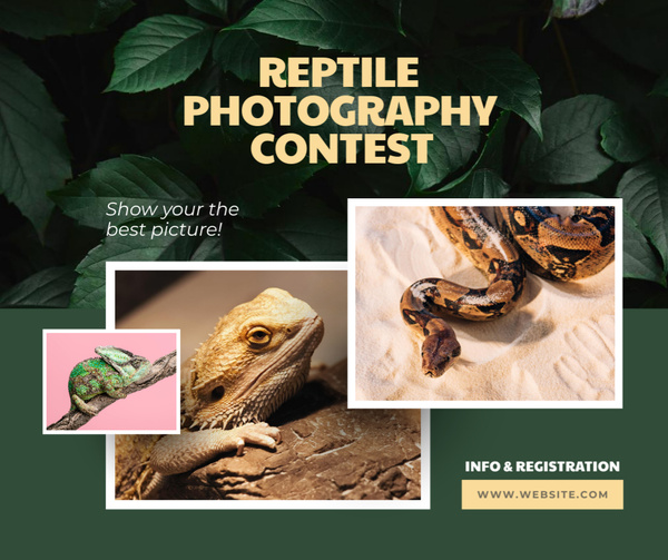 Reptile Photography Contest Announcement