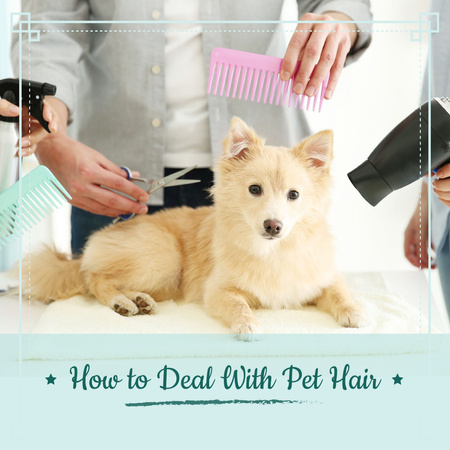 Designvorlage Pet hair salon Offer für Instagram