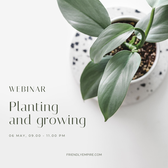 Ontwerpsjabloon van Instagram van Webinar on Planting and Growing Flowers