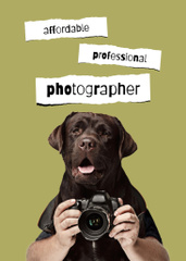 Photographer Services Offer