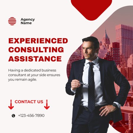 Services of Experienced Business Consulting Assistance LinkedIn post Design Template