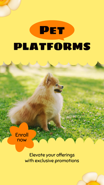 Exclusive Promotion On Pet Platforms Instagram Video Story Design Template