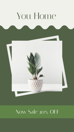 Houseplants Discount Sale Offer Instagram Story tervezősablon