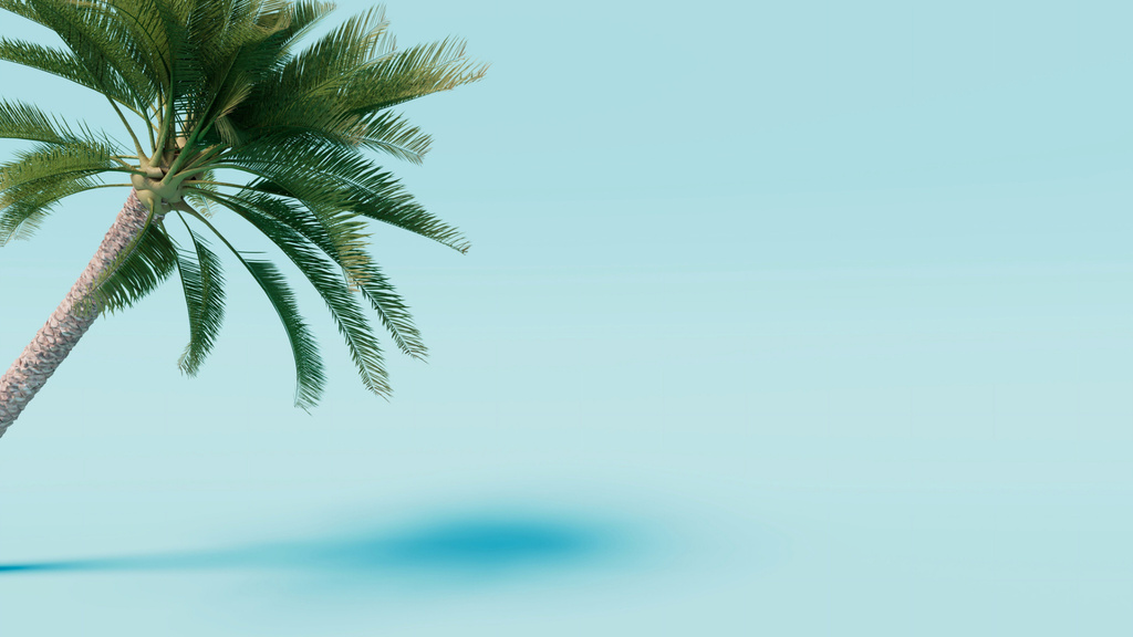 Designvorlage Tropical Palm on Minimalist Blue für Zoom Background
