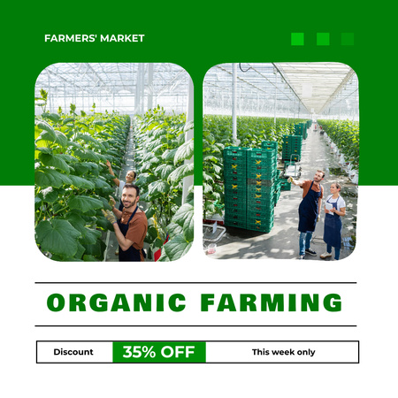 Modèle de visuel Remise sur les produits agricoles biologiques - Instagram