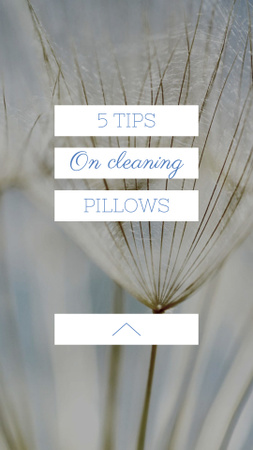 Cleaning Pillows Tips with Tender Dandelion Seeds Instagram Story Design Template