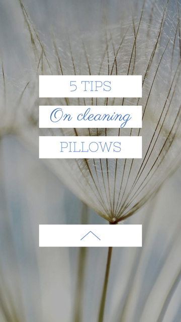 Cleaning Pillows Tips with Tender Dandelion Seeds Instagram Story Modelo de Design