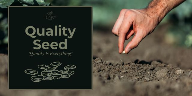 Offering Quality Seeds for Good Harvest Twitter Šablona návrhu