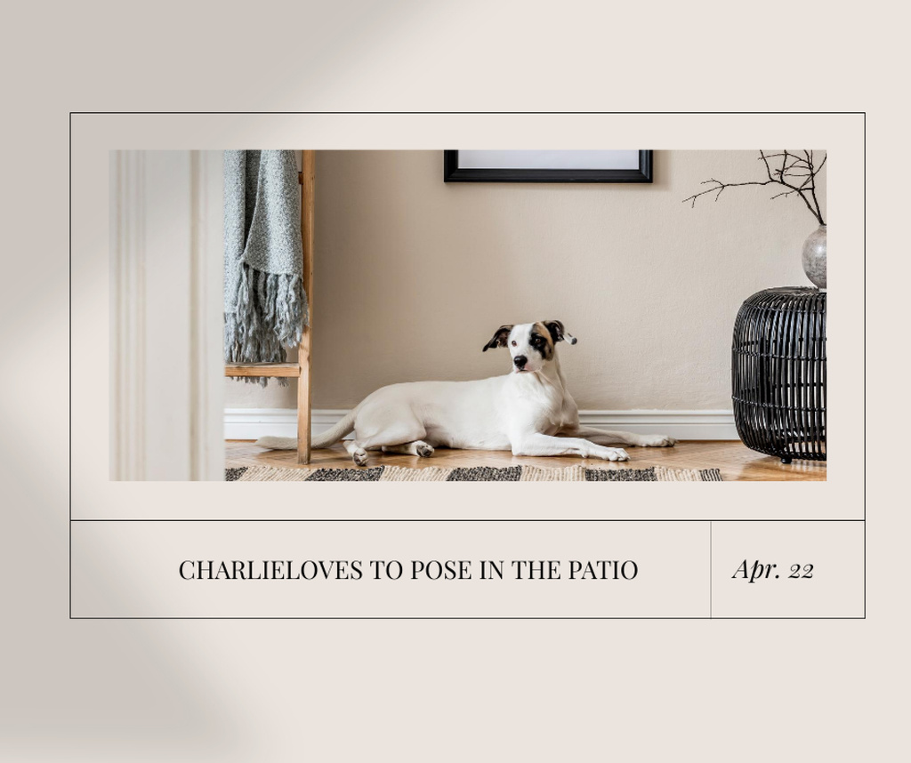 Cute Dog sitting at Home on floor Facebook – шаблон для дизайна
