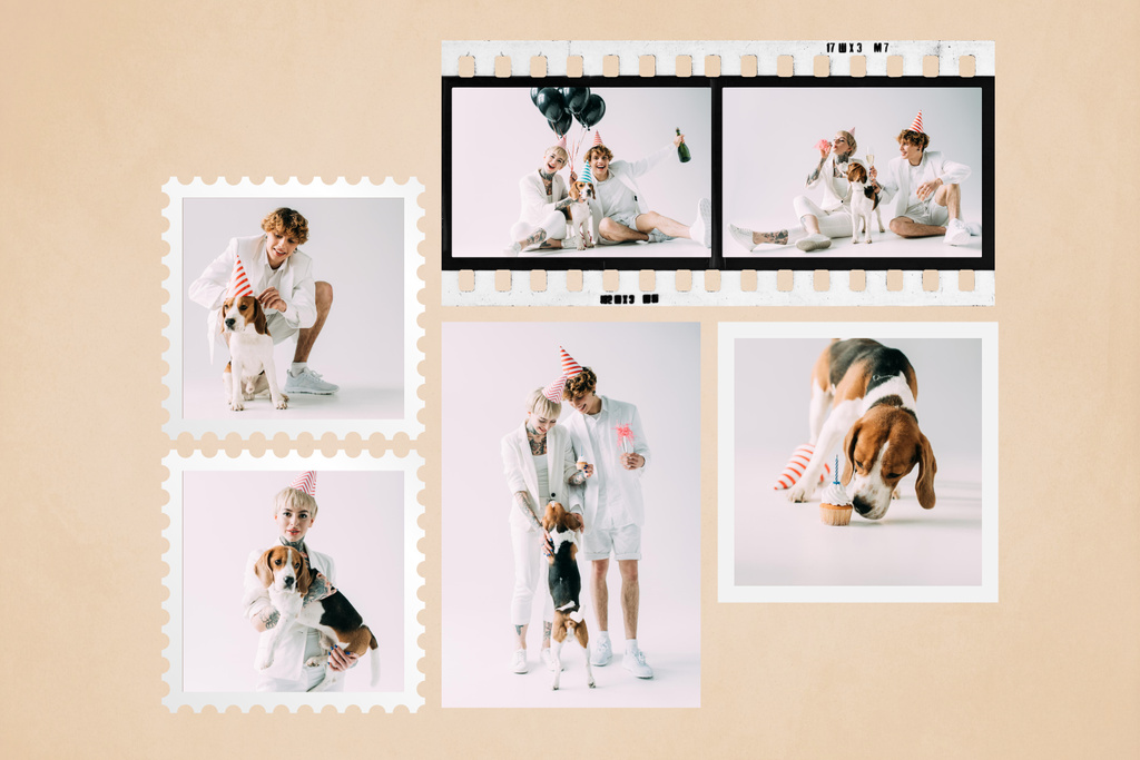 Grand Birthday and Holiday Festivities With Dog Mood Boardデザインテンプレート
