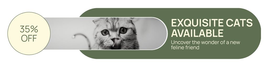 Platilla de diseño Exquisite Cat Breeds Available With Discount Twitter