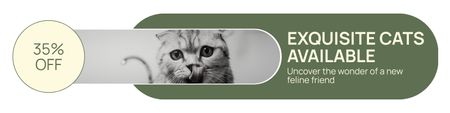 Plantilla de diseño de Razas de gatos exquisitas disponibles con descuento Twitter 