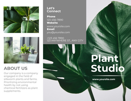 Plant Studio Advertisement Collage Brochure 8.5x11in Design Template
