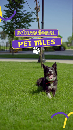 Oktatási tartalom kutyatulajdonosok számára TikTok Video tervezősablon