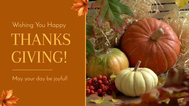 Sincere Thanksgiving Day Wishes And Greetings Full HD video Modelo de Design