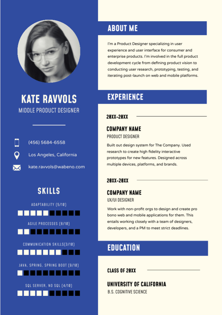 Ontwerpsjabloon van Resume van Product Designer Skills and Experience
