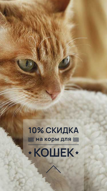 Toys for Cats Discount Offer Instagram Story – шаблон для дизайна