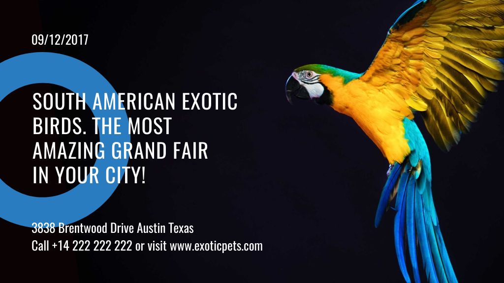 Plantilla de diseño de Exotic Birds fair Blue Macaw Parrot Title 