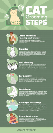 Cat Grooming Steps Infographic Design Template