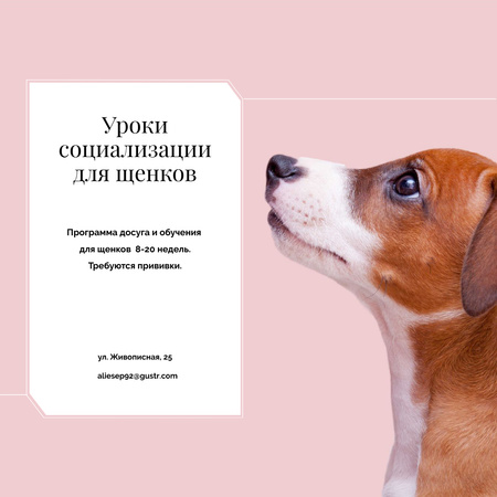 Щенок социализации с собачкой в розовом Instagram AD – шаблон для дизайна