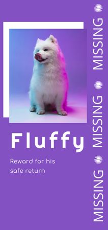 Lost Dog Information with Fluffy White Puppy on Purple Flyer DIN Large Šablona návrhu