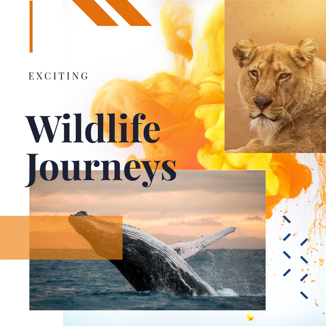 Lion and whale in natural habitat Instagram Πρότυπο σχεδίασης