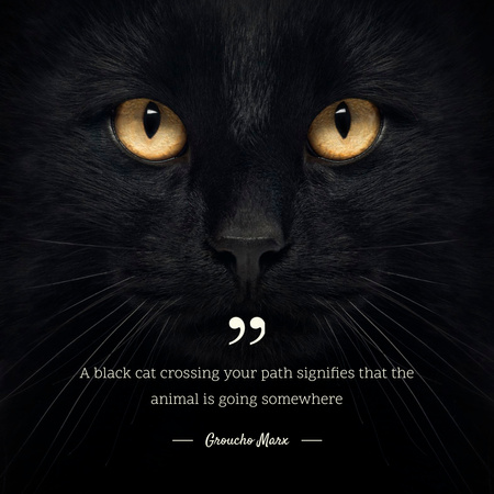 Citation about Black Cat Instagram Design Template