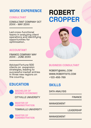 Work Experience of Business Consultant Resume Design Template