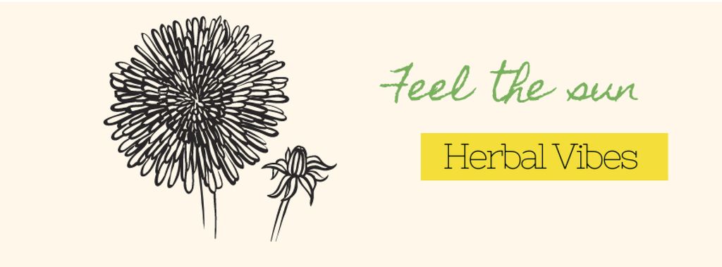 Herbal vibes Offer Facebook cover – шаблон для дизайну