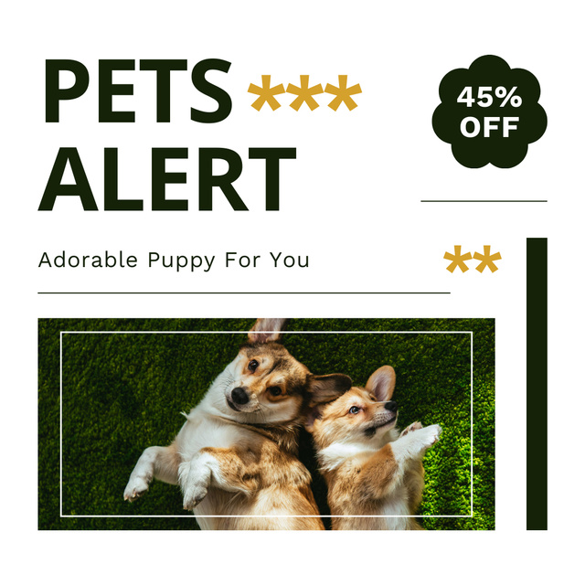 New Pets Discount Alert Instagram AD Design Template