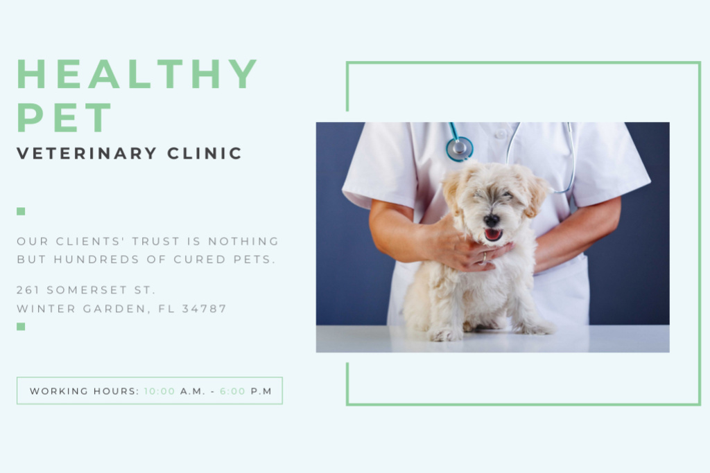 Healthy pet veterinary clinic Gift Certificate Modelo de Design