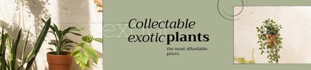 Ontwerpsjabloon van Ebay Store Billboard van Exotic Plants Sale Offer