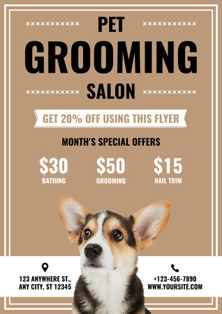 Grooming Salon for Pets Poster Design Template