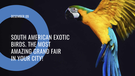 South American exotic birds fair FB event cover tervezősablon