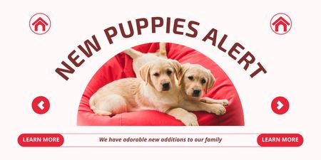 Plantilla de diseño de Nuevos cachorros de labrador disponibles para adopción Twitter 