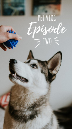 Pet Vlog Ad with Cute Dog Instagram Story Design Template
