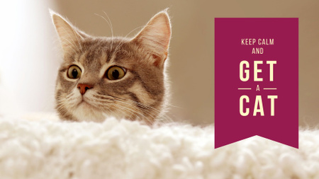 Pet Quote with Cute Cat Presentation Wide Design Template