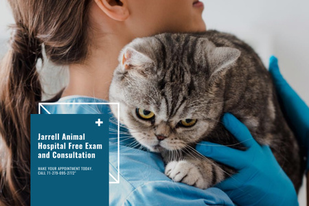 Vet with Cat in Animal Hospital Poster 24x36in Horizontal Design Template