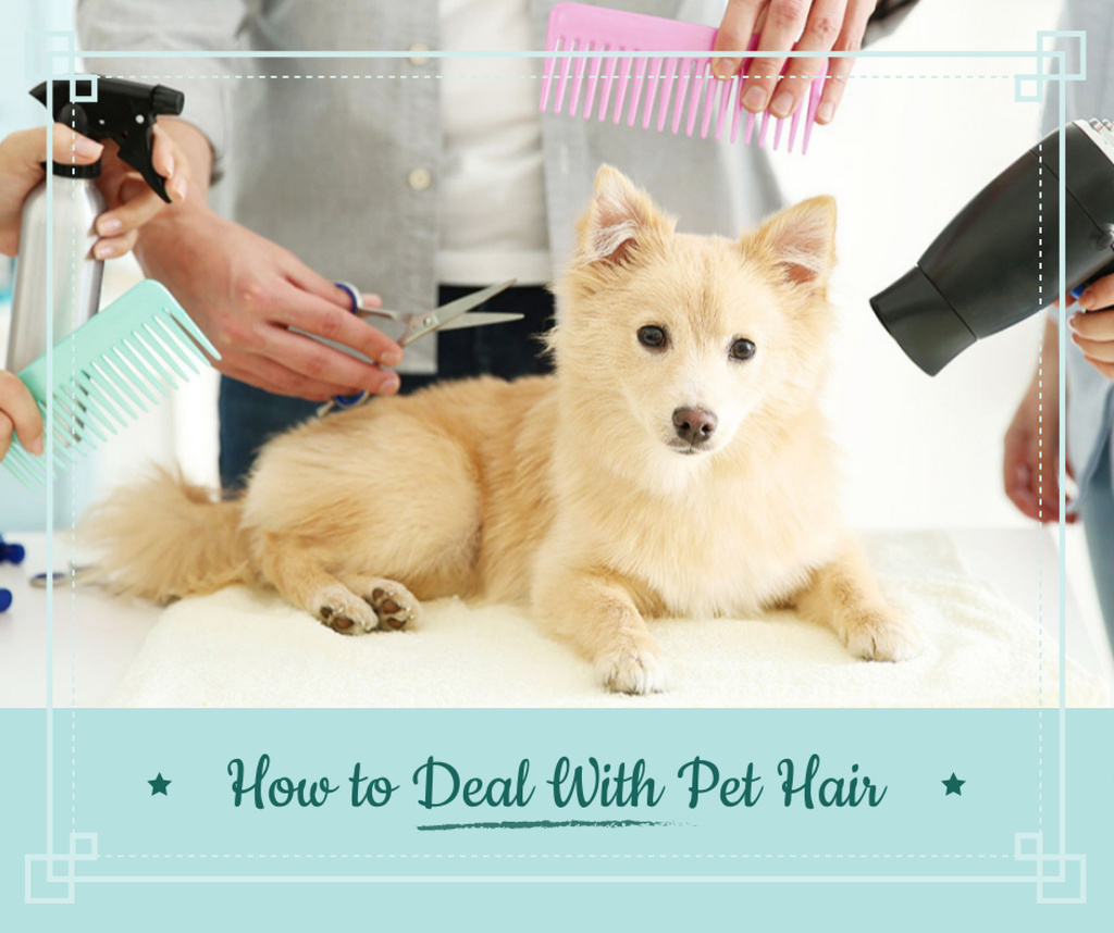 Pet salon ad with Dog at grooming Facebook Modelo de Design